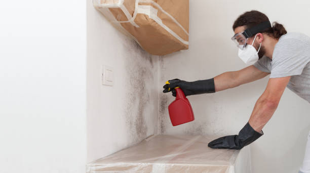 Professional Crawl Space Mold Removal technician working in Windsor, NC