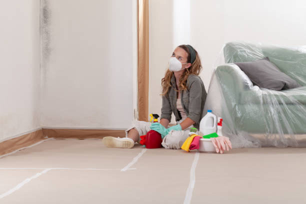 Reliable Crawl Space Mold Removal contractor in Windsor, NC by WQB Mold Removal